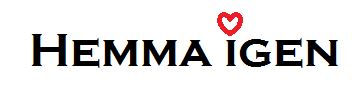logotyp Hemma Igen AB