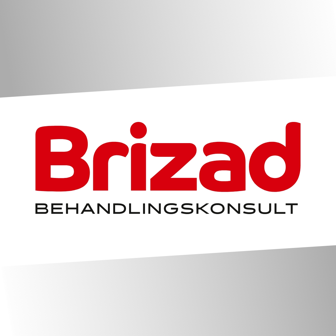 logotyp Brizad behandlingskonsult AB